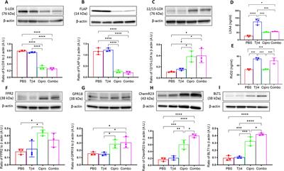 Activation of pro-resolving pathways mediate the therapeutic effects of thymosin beta-4 during Pseudomonas aeruginosa-induced keratitis